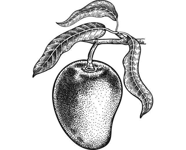 mango